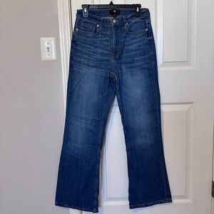 Banana Republic Classic Blue Jeans